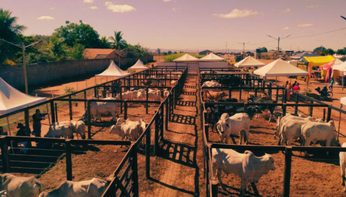 Feira go Agro Negócio